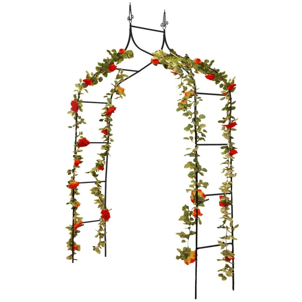 Arched garden ladder for climbing plants, metal, with anchor