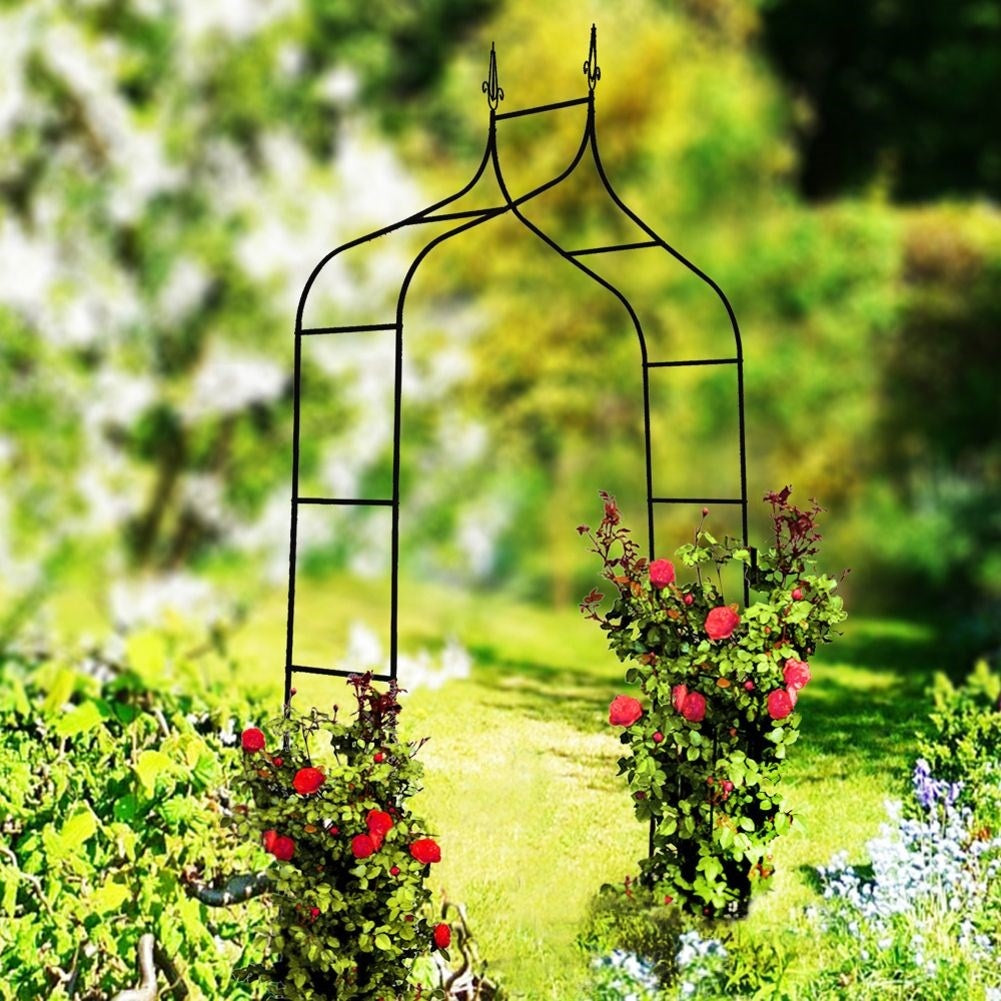 Arched garden ladder for climbing plants, metal, with anchor