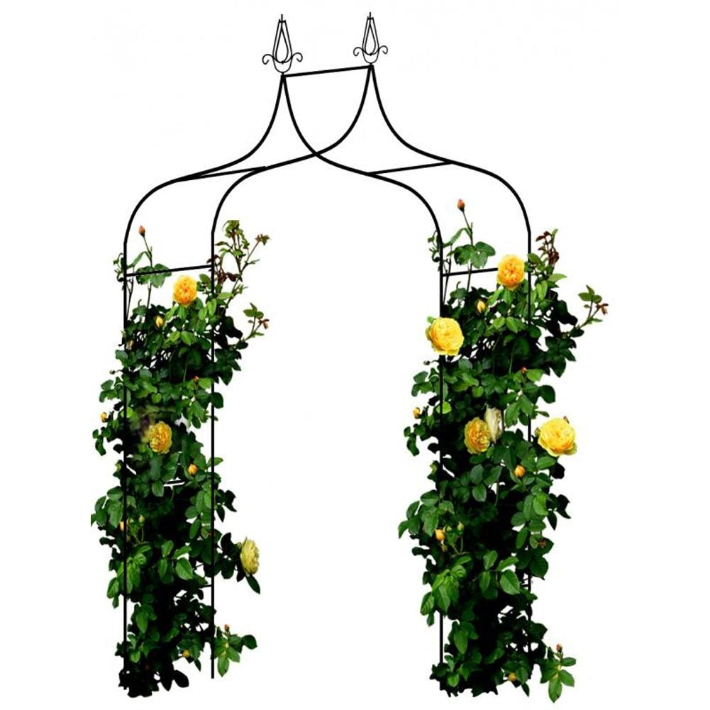 Arched garden ladder for climbing plants, metal, with anchor