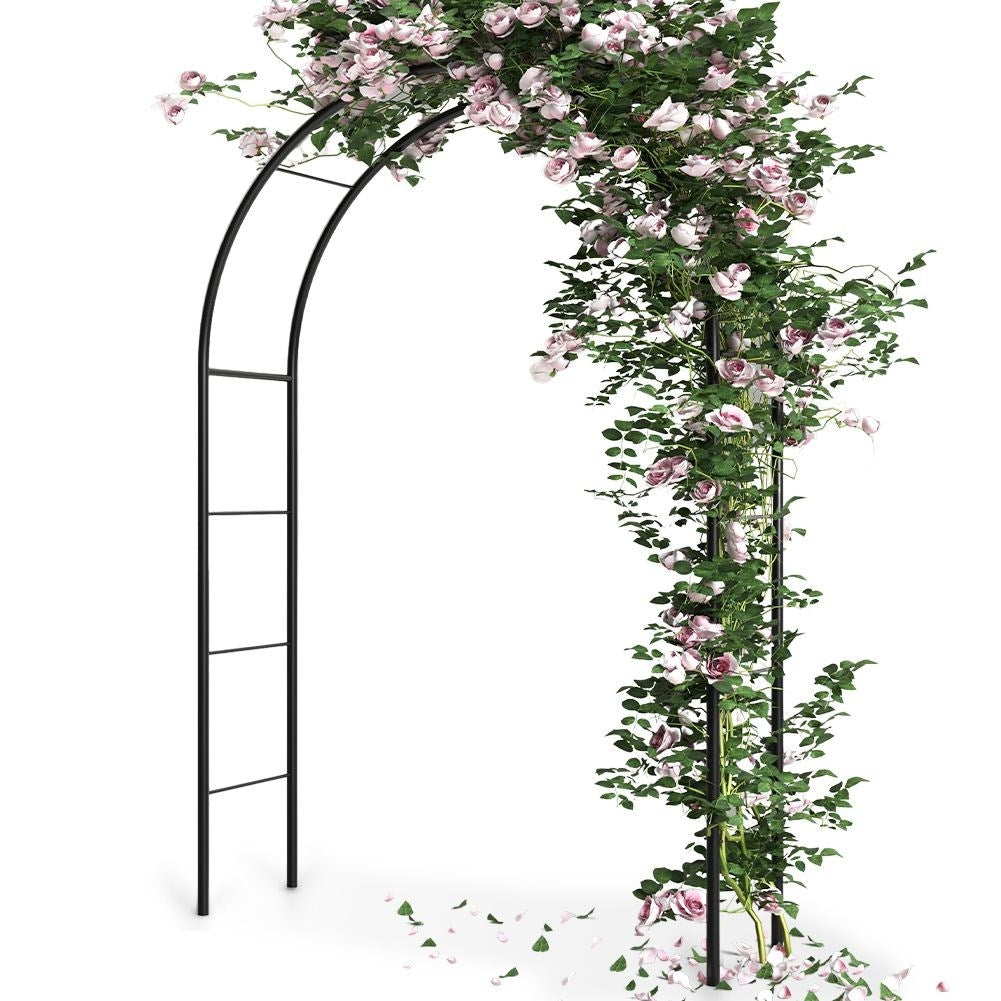 Arched garden pergola for climbing plants in dark green metal