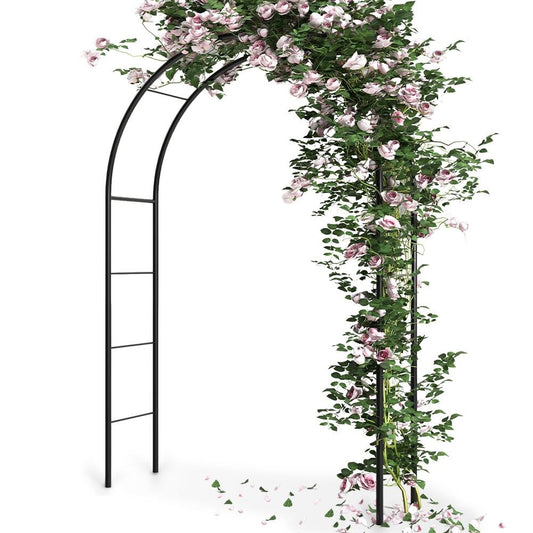 Arched garden pergola for climbing plants in dark green metal