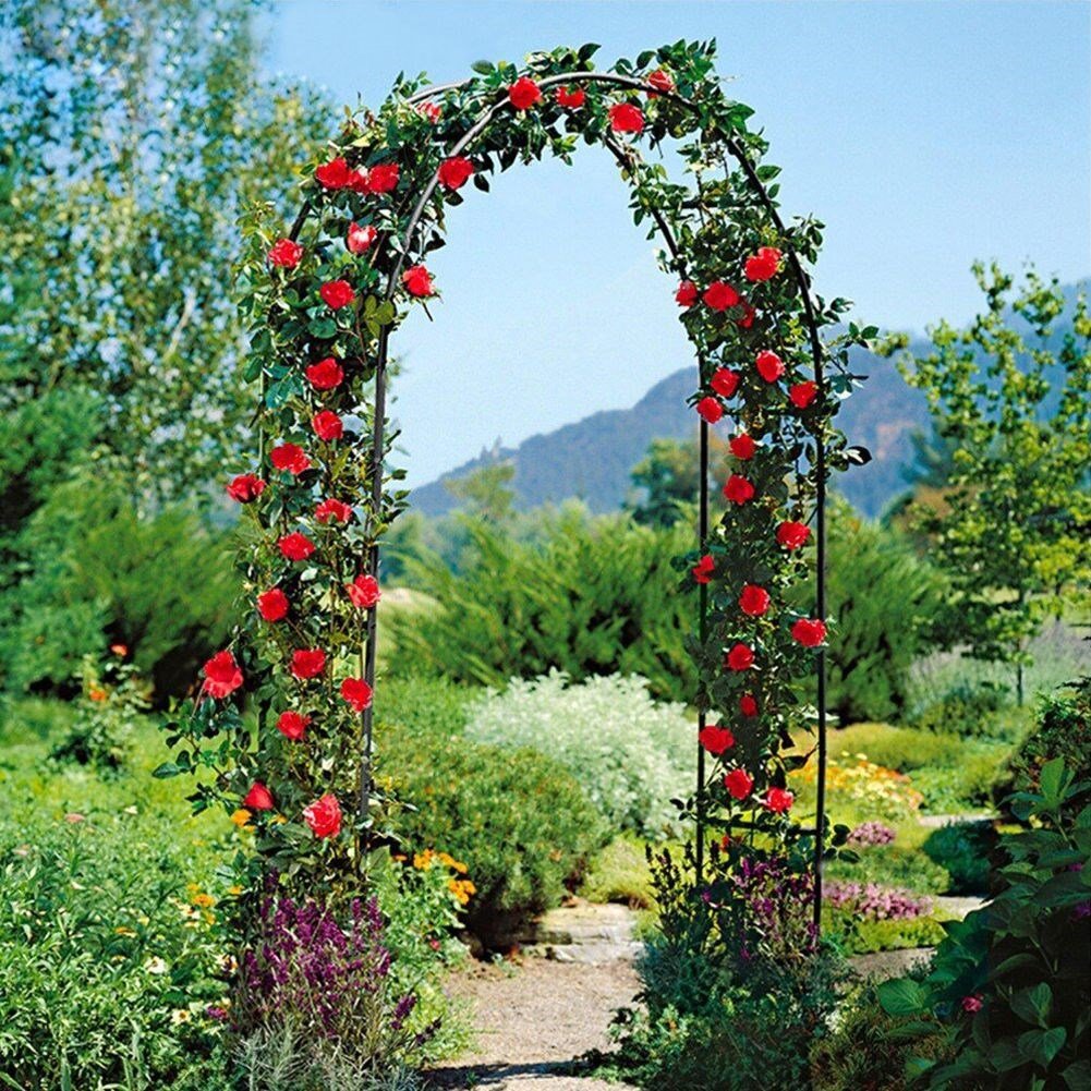 Arched garden pergola for climbing plants in dark green metal
