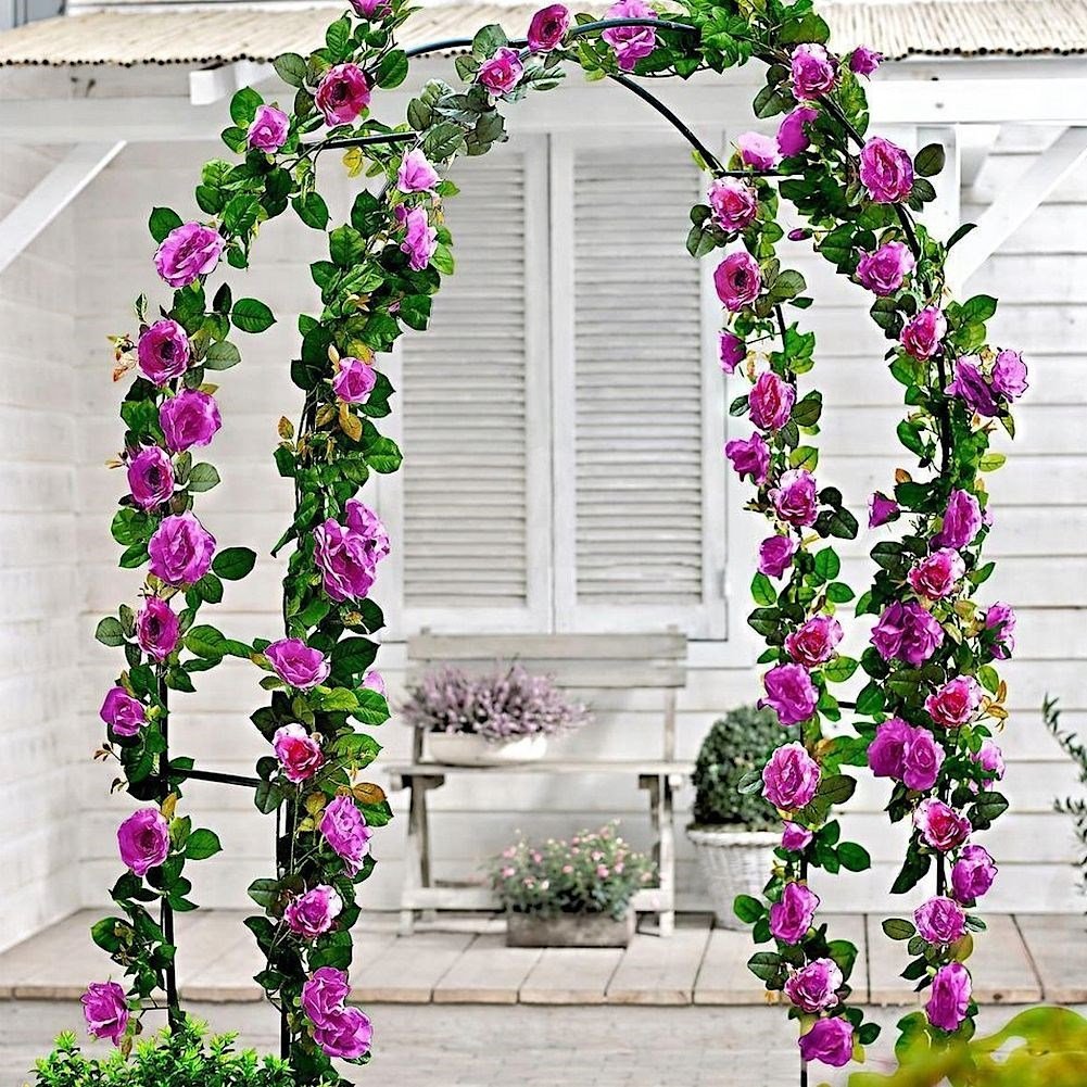 Arched garden pergola for climbing plants in dark green metal