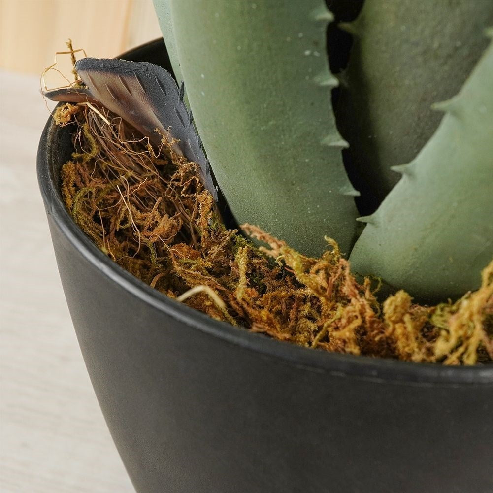 Artificial Aloe Vera in Black Pot - Realistic and Easy to Care for