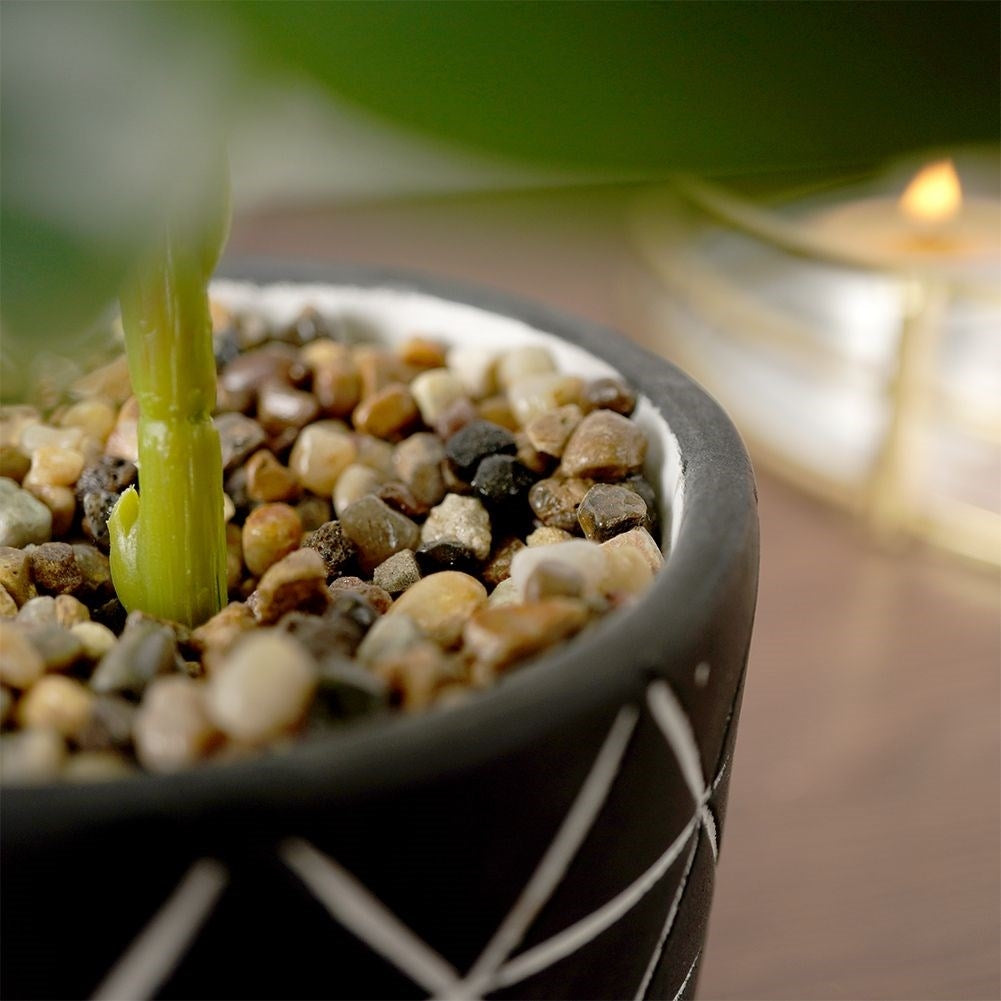 Artificial Monstera in Realistic Cement Pot