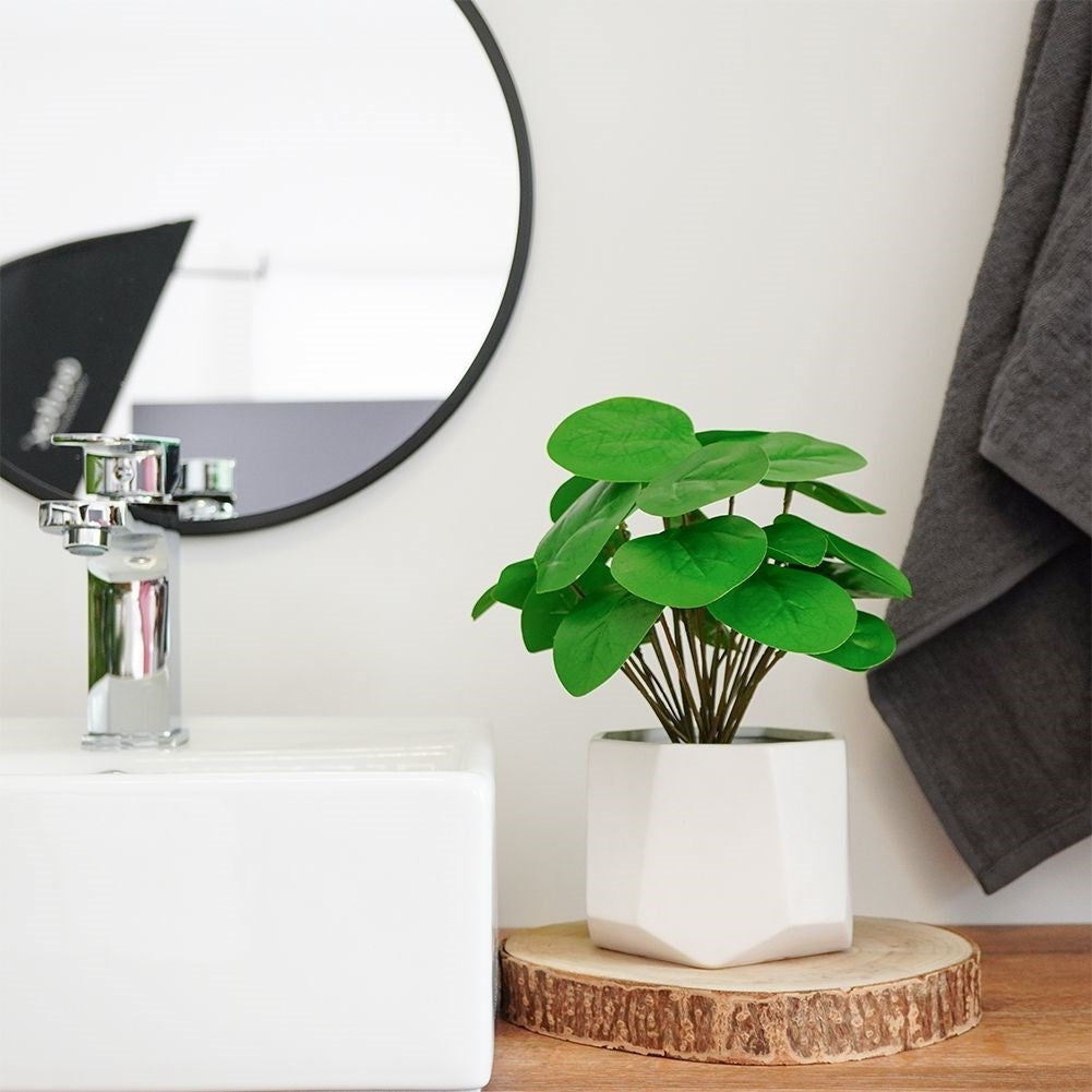 Artificial Pilea in Black Pot - Realistic & Care Free
