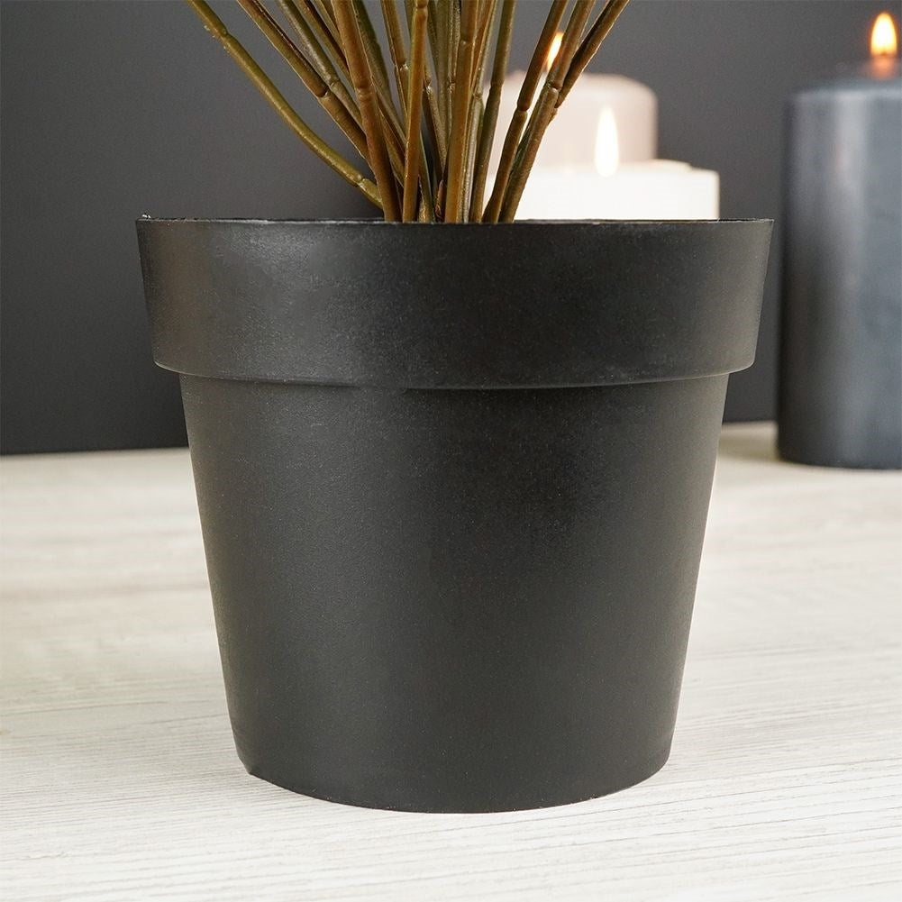 Artificial Pilea in Black Pot - Realistic & Care Free