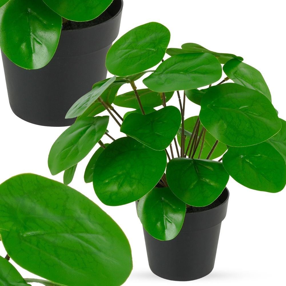 Artificial Pilea in Black Pot - Realistic & Care Free