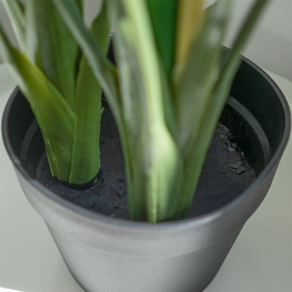 Artificial cold plant with three flowers in black pot