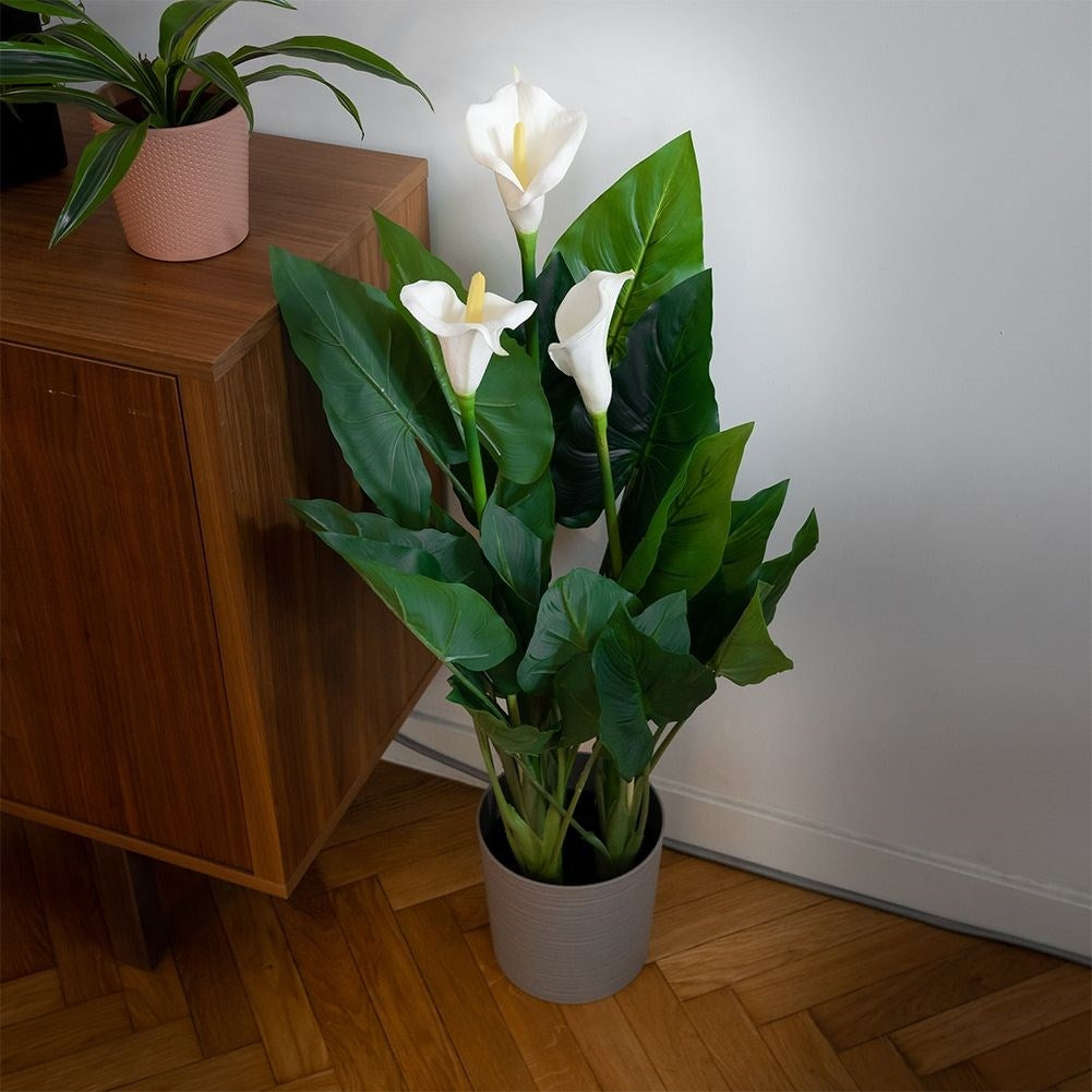 Artificial cold plant with three flowers in black pot