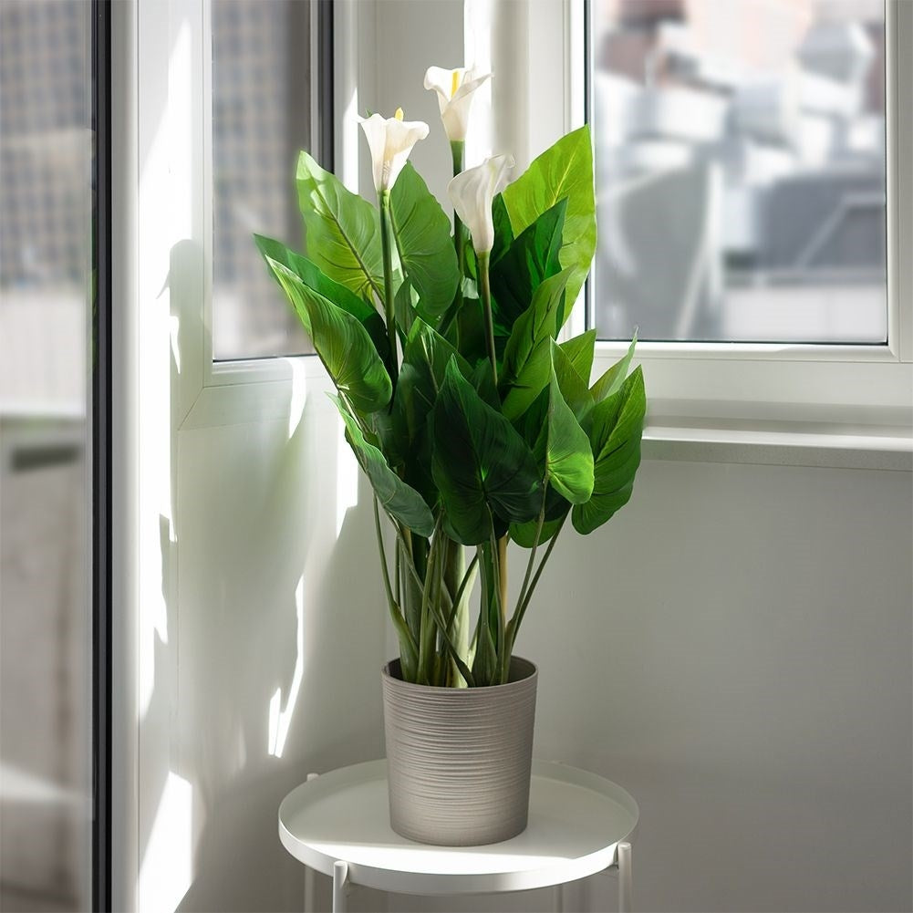 Artificial cold plant with three flowers in black pot