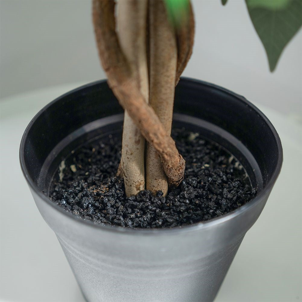 Artificial ficus in a black pot - realistic and maintenance-free