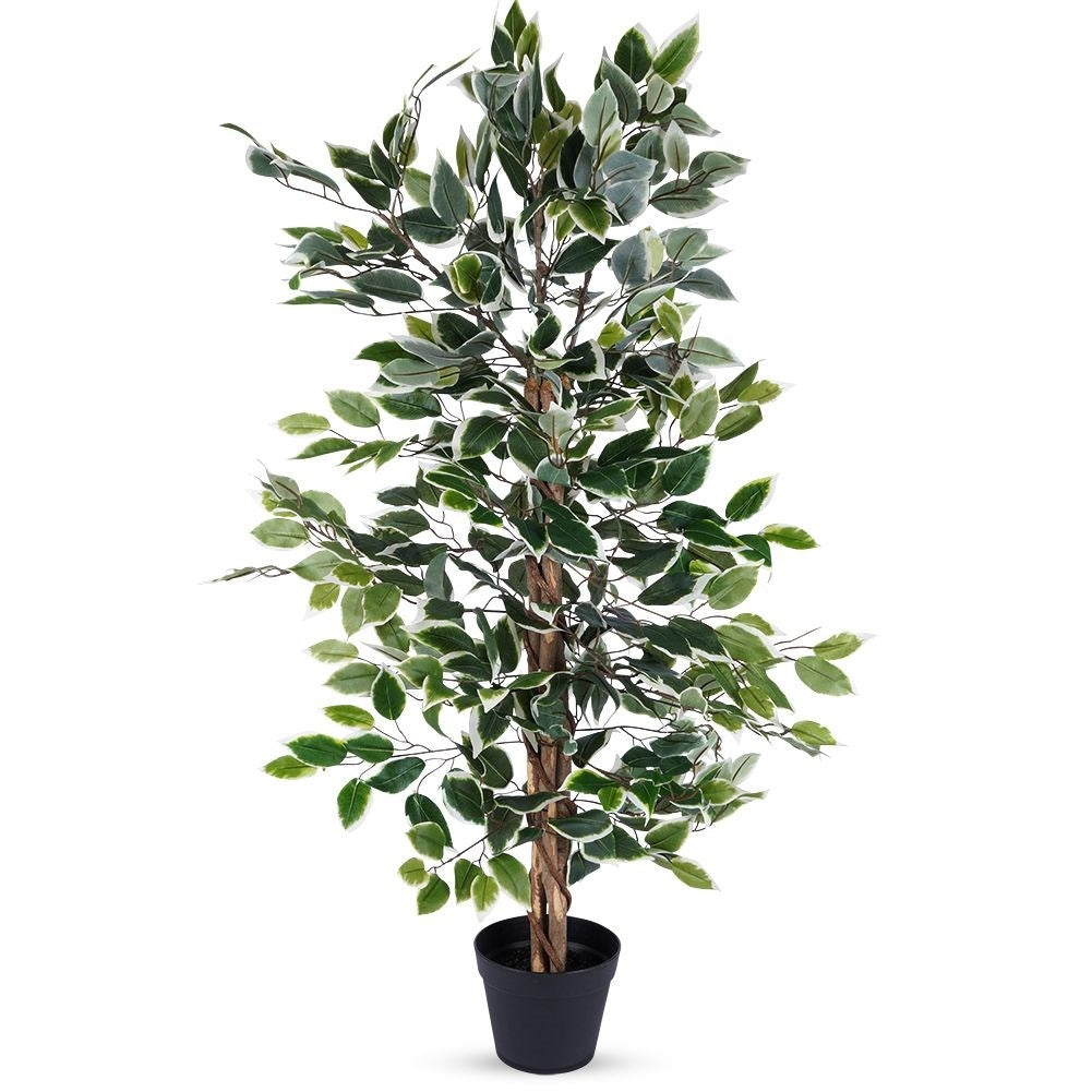 Artificial ficus in a black pot - realistic and maintenance-free