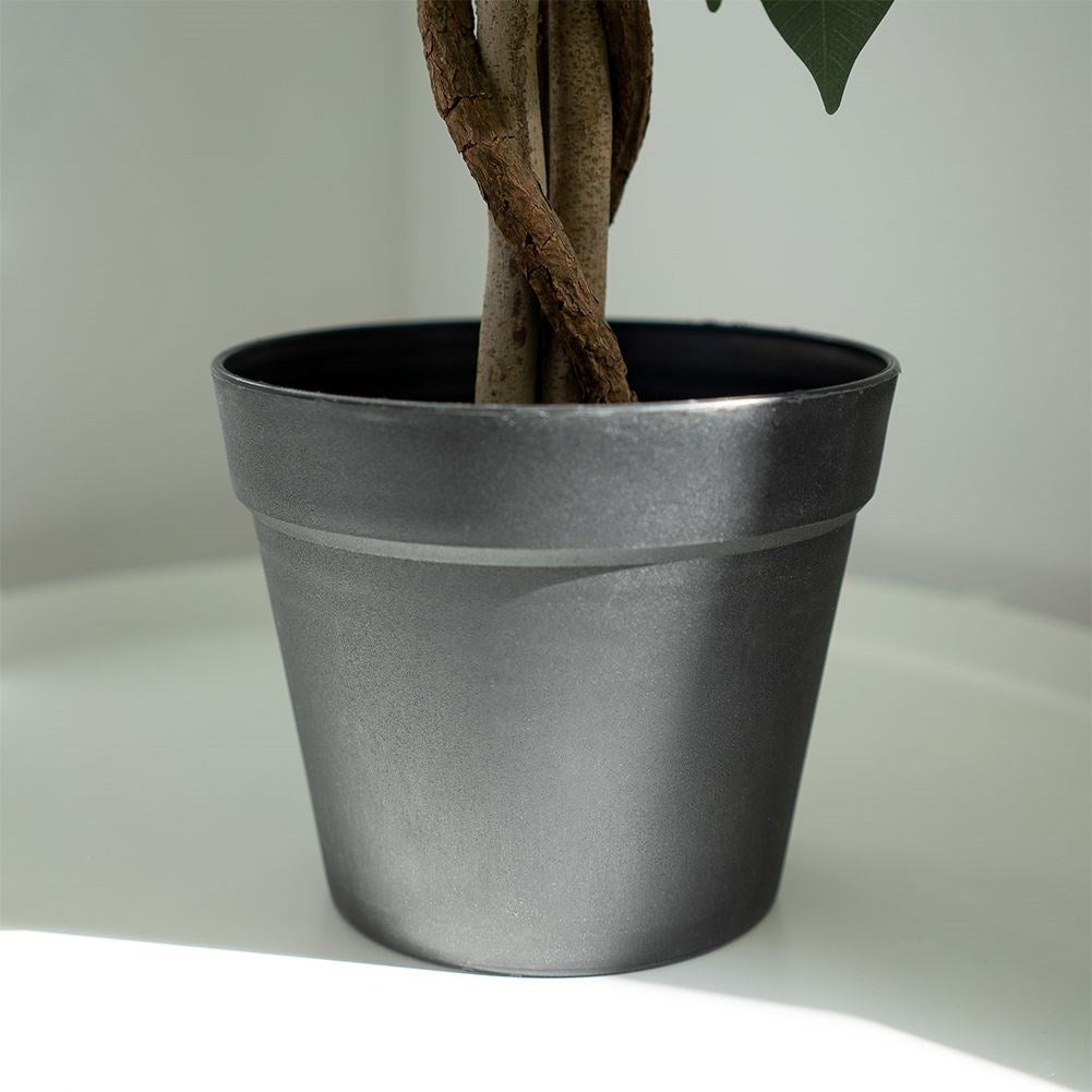 Artificial ficus in a black pot - realistic and maintenance-free