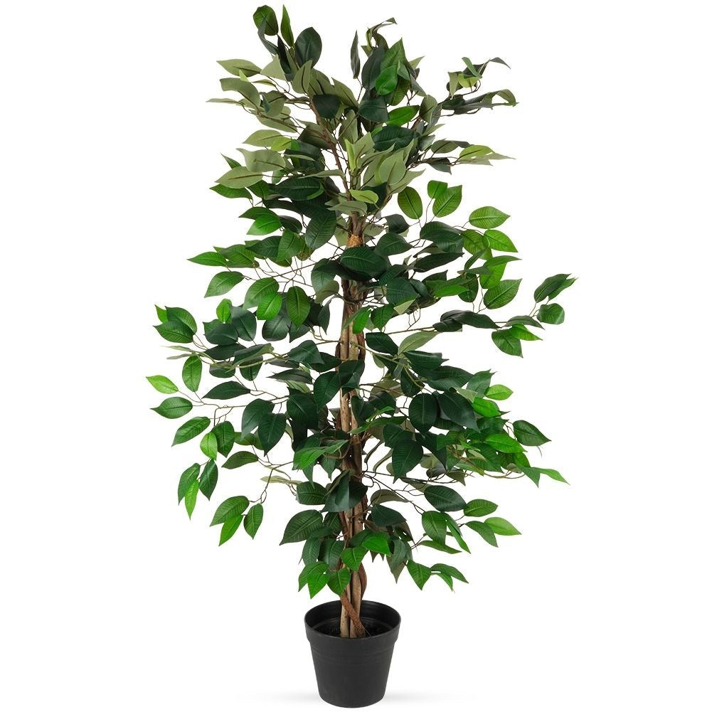Artificial ficus in a black pot - realistic and maintenance-free