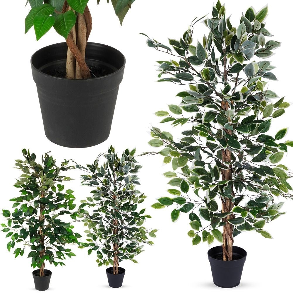 Artificial ficus in a black pot - realistic and maintenance-free