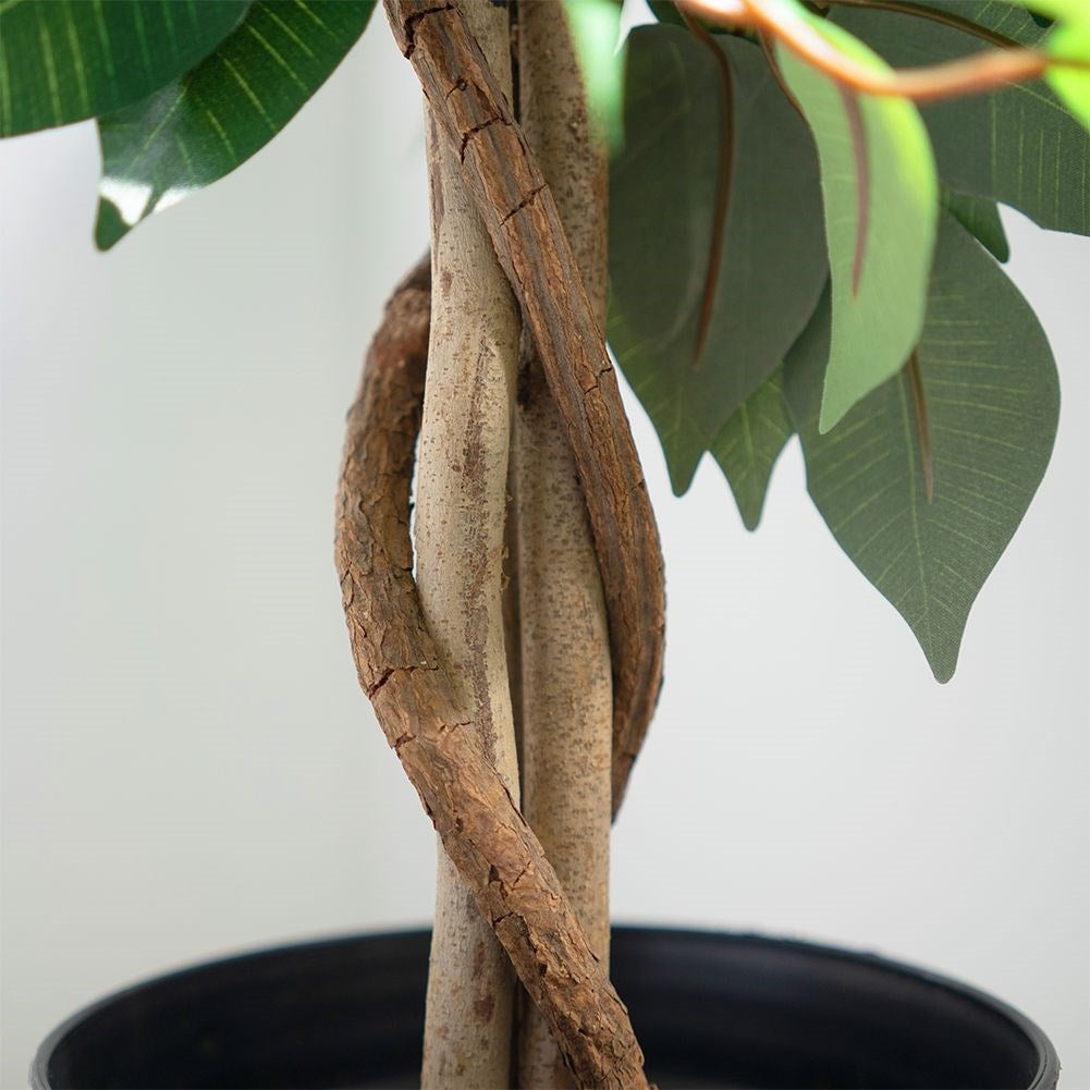 Artificial ficus in a black pot - realistic and maintenance-free