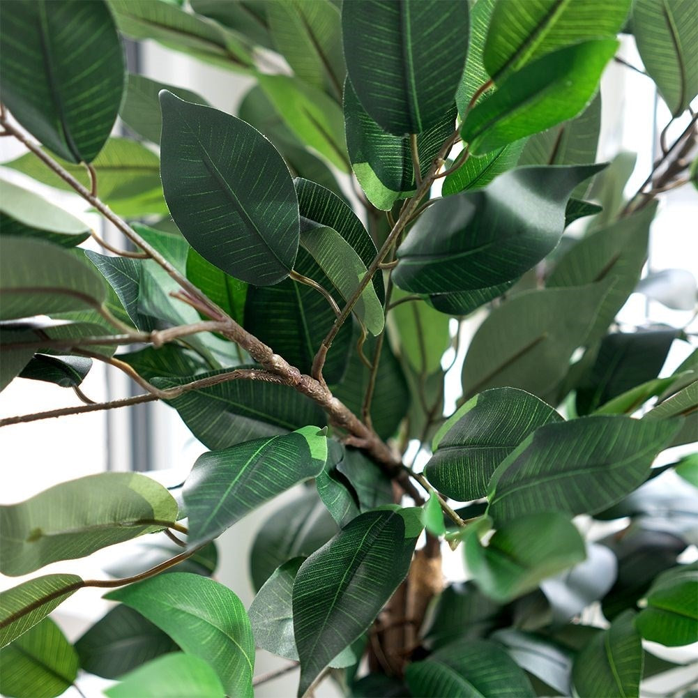 Artificial ficus in a black pot - realistic and maintenance-free