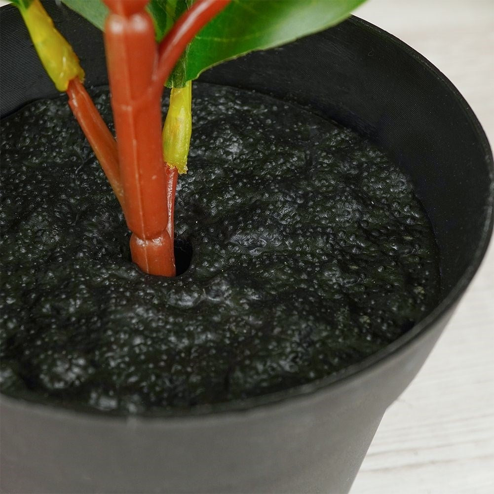Artificial ficus in black pot - realistic and maintenance-free
