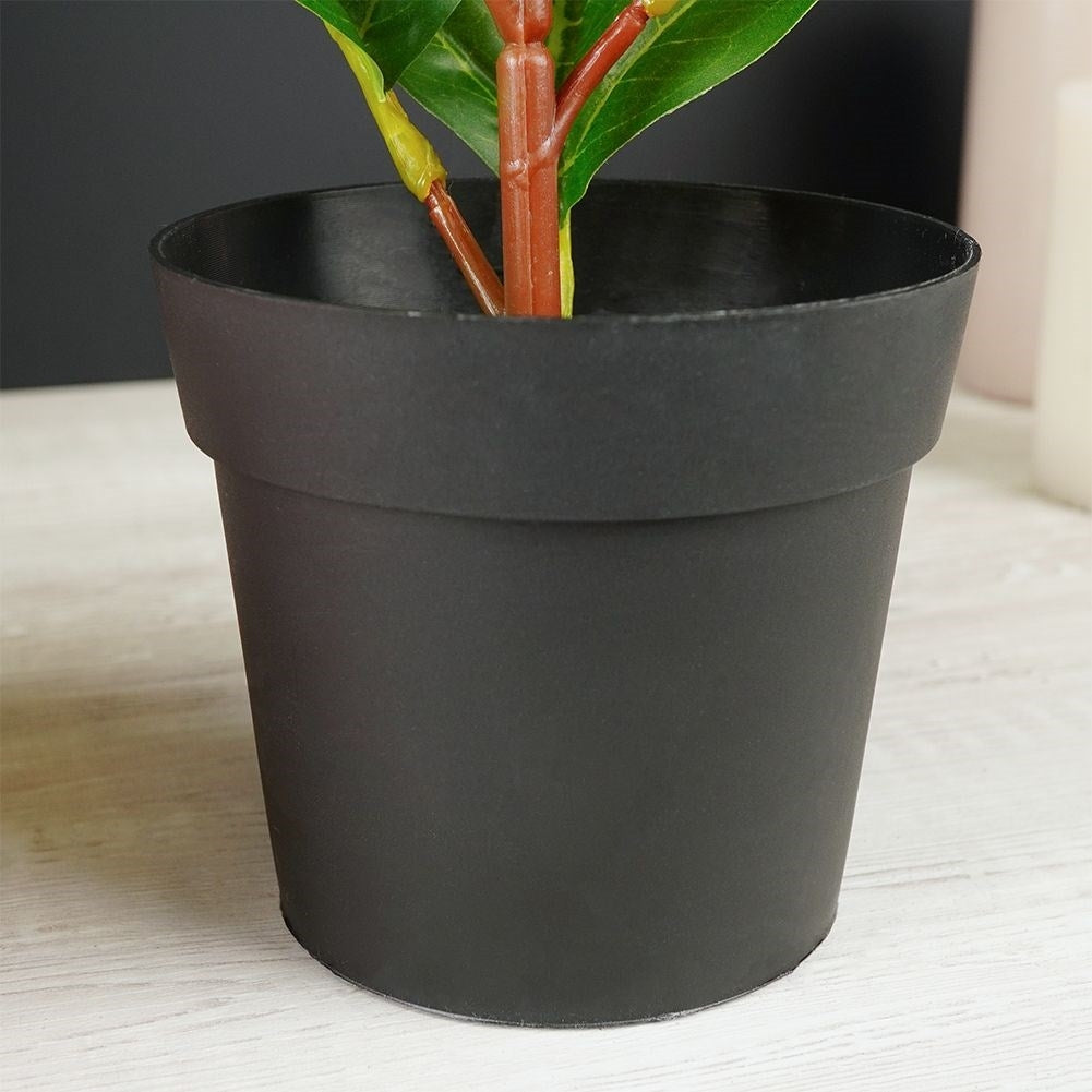 Artificial ficus in black pot - realistic and maintenance-free