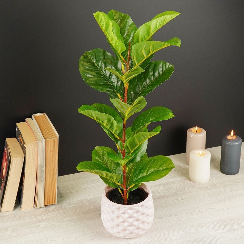 Artificial ficus in black pot - realistic and maintenance-free