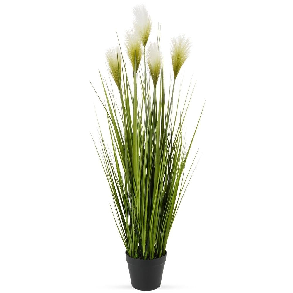 Artificial pampas grass in black pot with five flowers