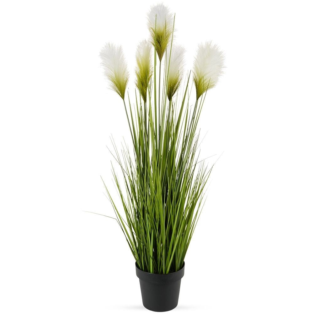 Artificial pampas grass with 5 flowers in black pot