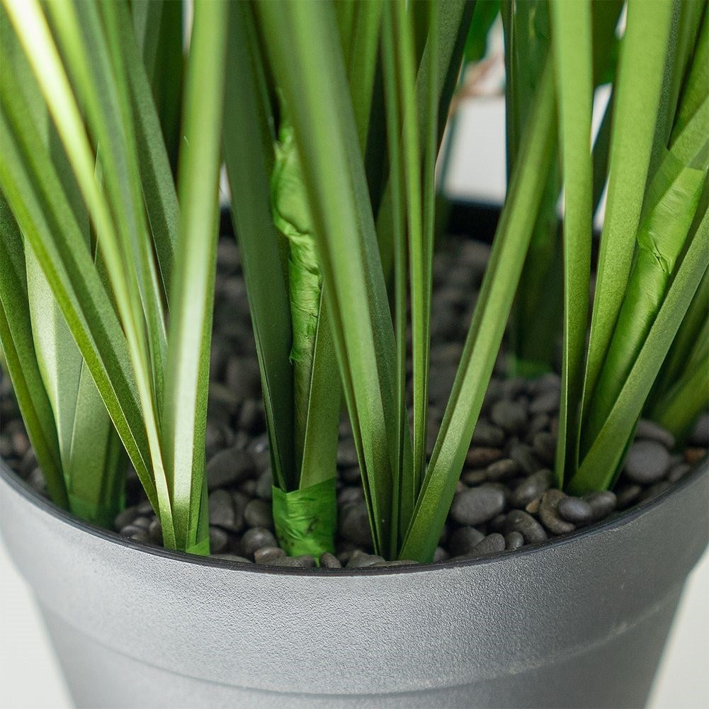 Artificial pampas grass with 5 flowers in black pot