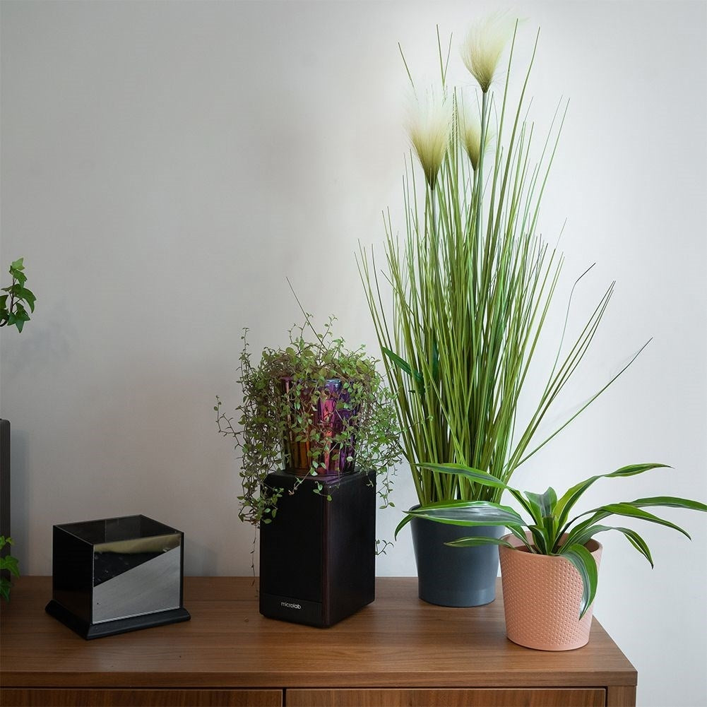 Artificial pampas grass with three flowers in black pot
