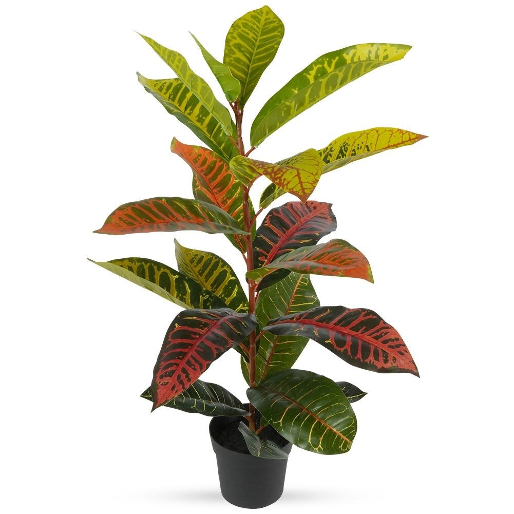 Artificial plant Calatea in Black Pot - Realistic & Maintenance Free