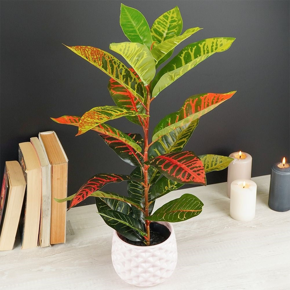 Artificial plant Calatea in Black Pot - Realistic & Maintenance Free