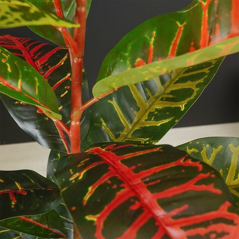 Artificial plant Calatea in Black Pot - Realistic & Maintenance Free