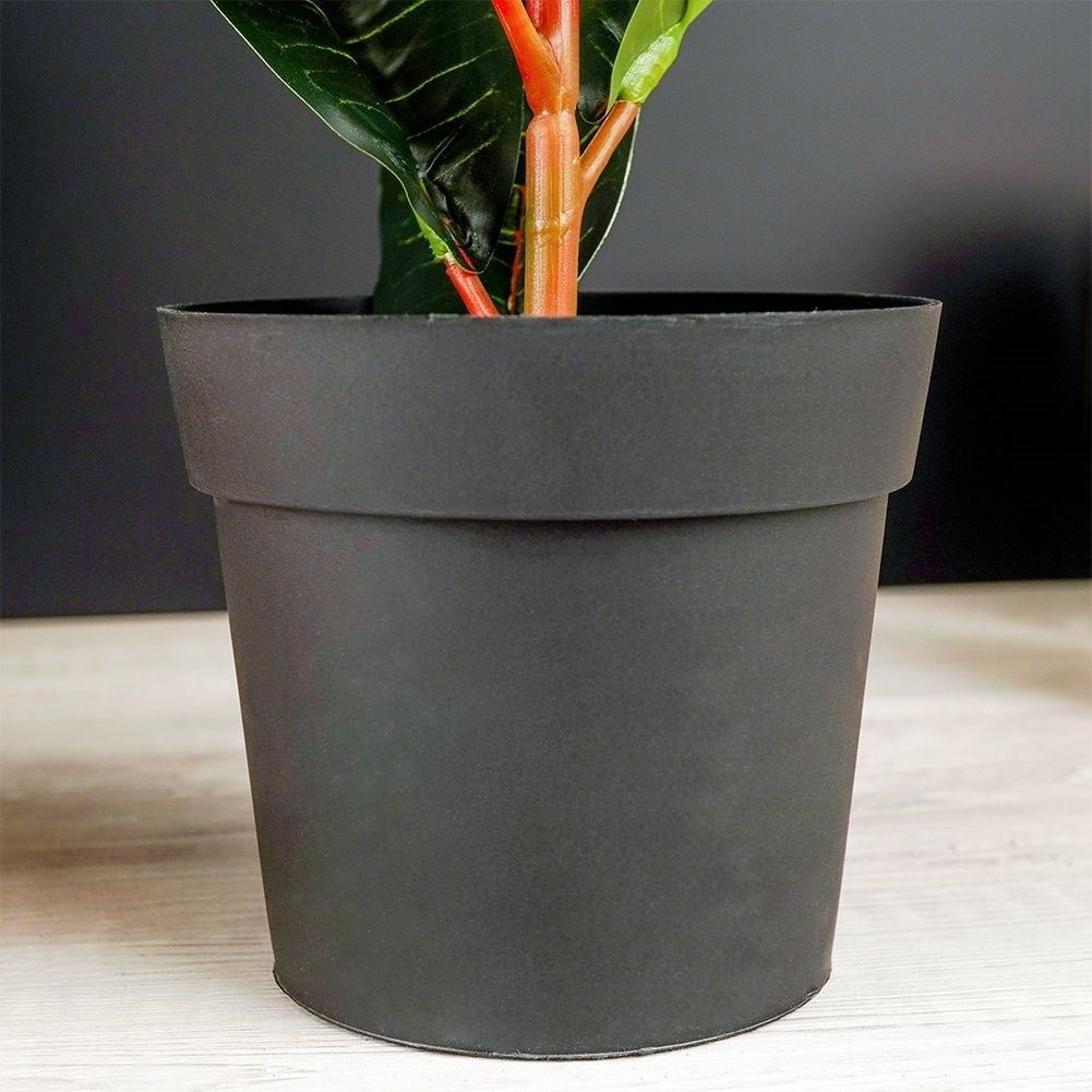 Artificial plant Calatea in Black Pot - Realistic & Maintenance Free