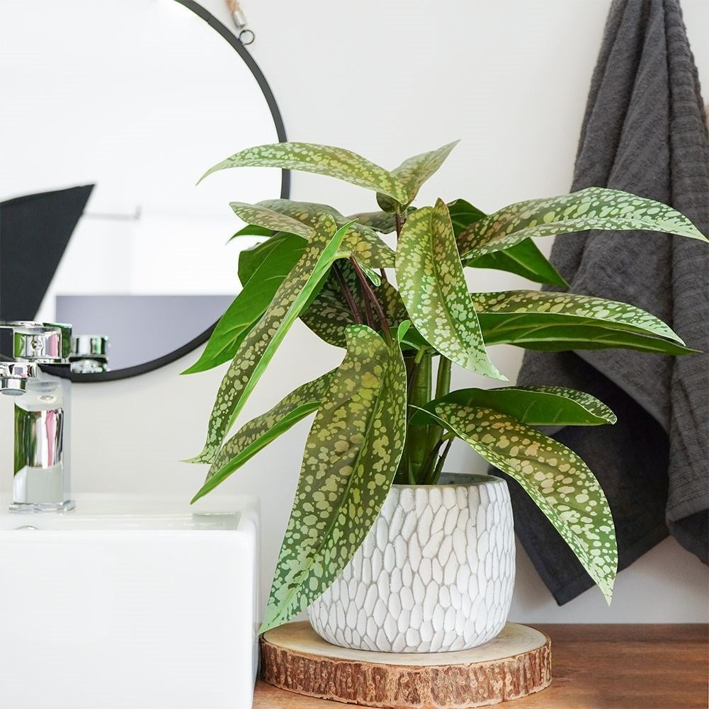 Artificial syngonium plant in decorative pot, realistic and maintenance free