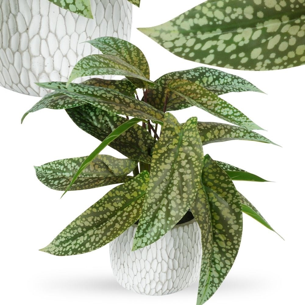 Artificial syngonium plant in decorative pot, realistic and maintenance free