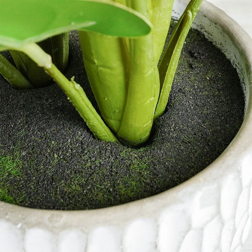 Artificial syngonium plant in decorative pot, realistic and maintenance free