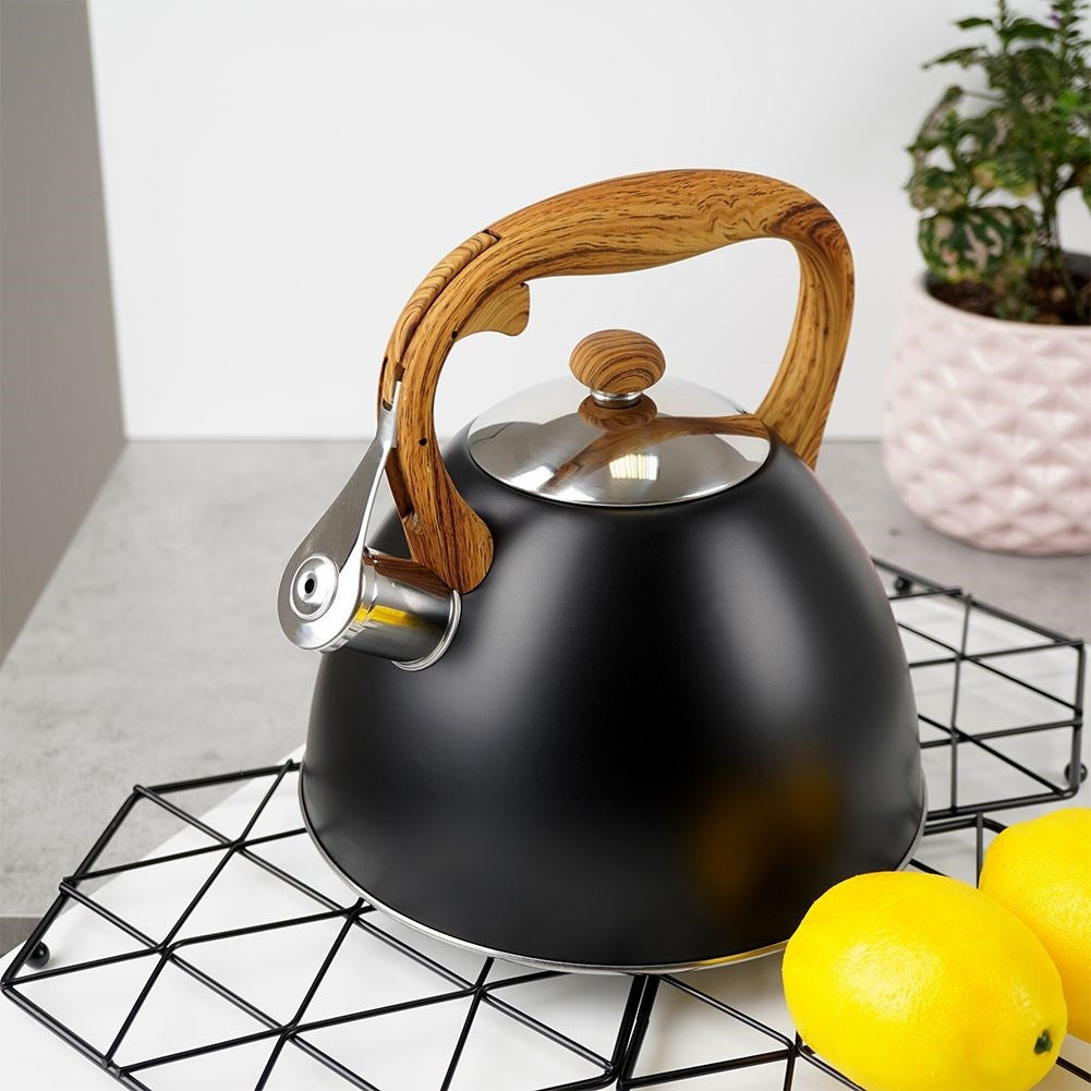 Automatic Whistle Iron in Black Stainless Steel for All Stoves