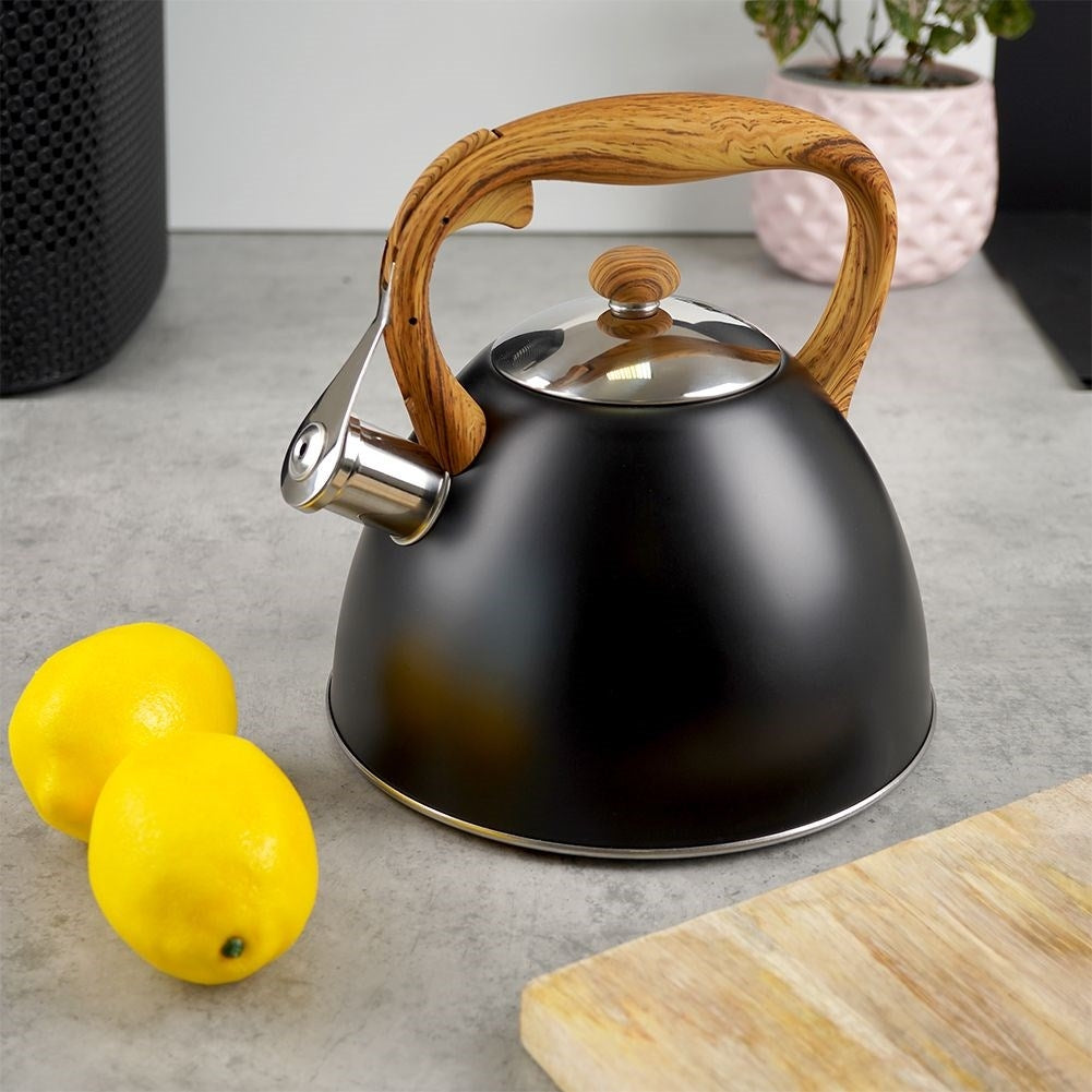Automatic Whistle Iron in Black Stainless Steel for All Stoves