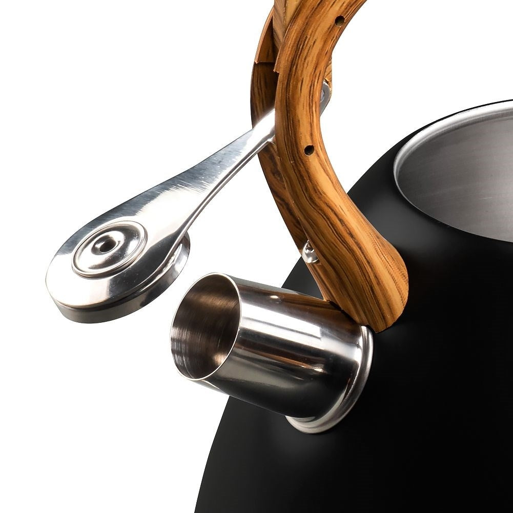 Automatic Whistle Iron in Black Stainless Steel for All Stoves