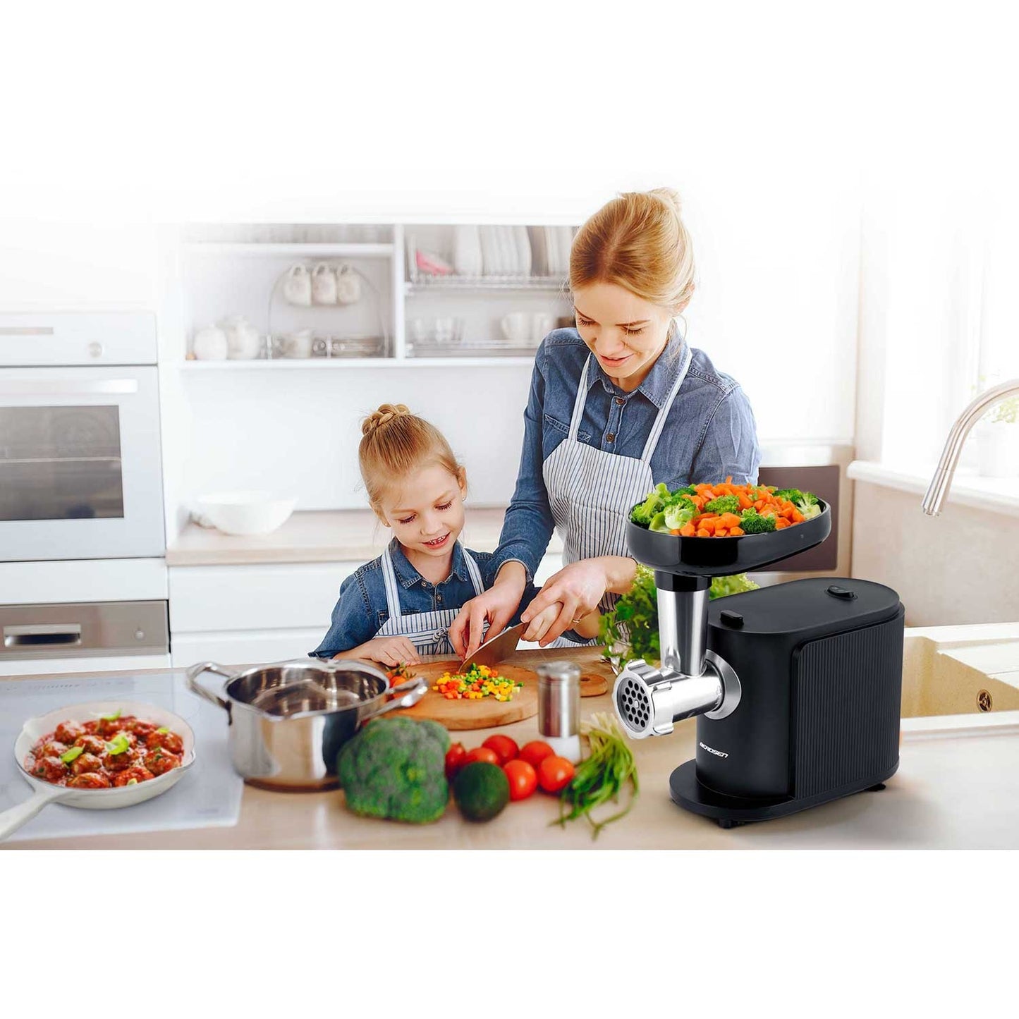 BD-600 Berdsen 300/800W meat grinder