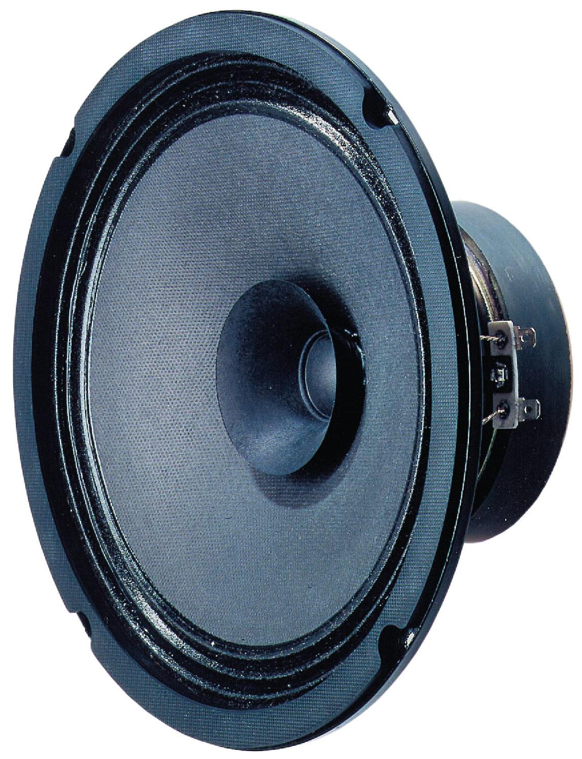 BG 20 - 8 Ohm 20 cm (8") full range speaker