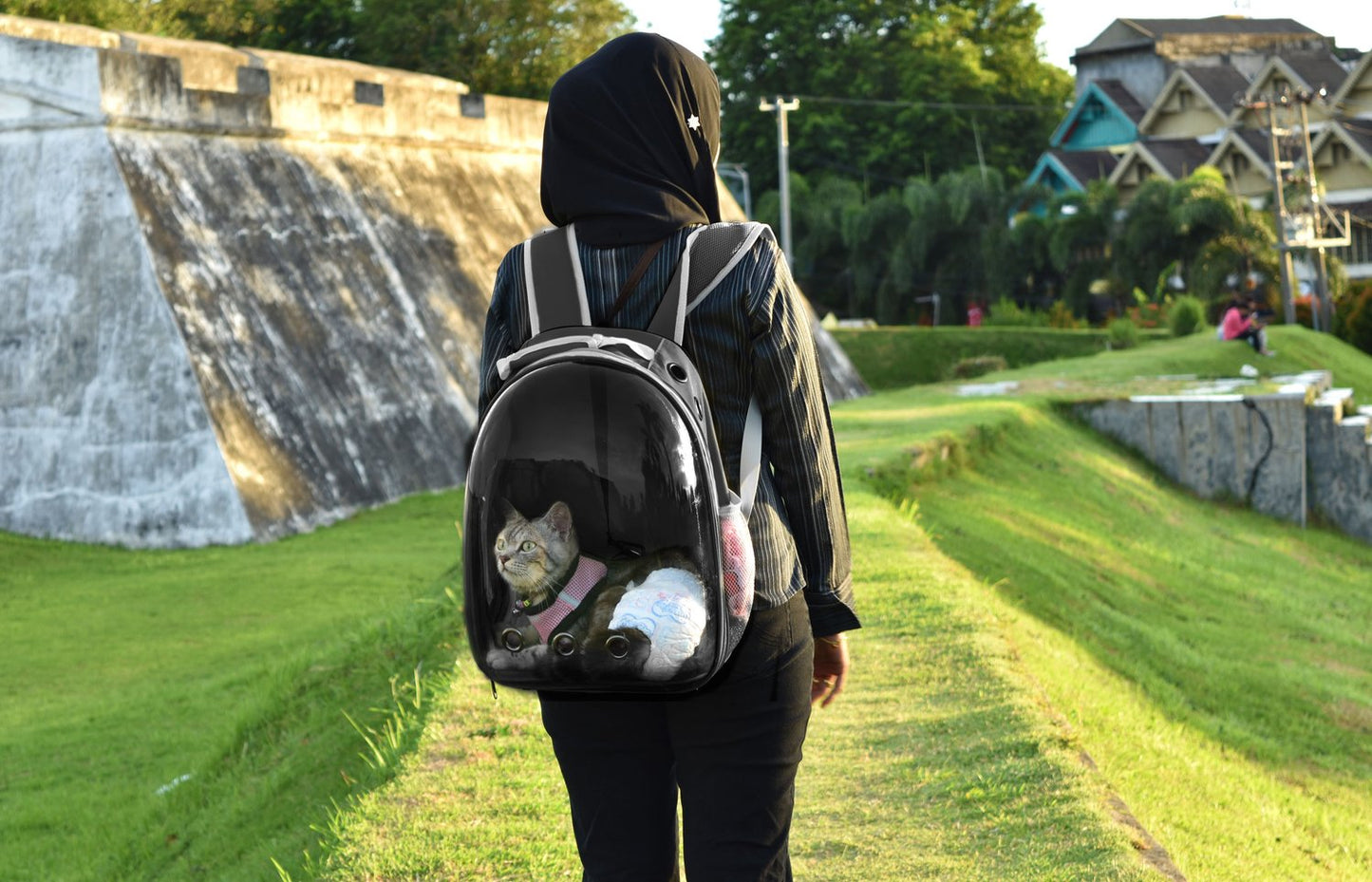 Backpack for cat dog transporter with glass