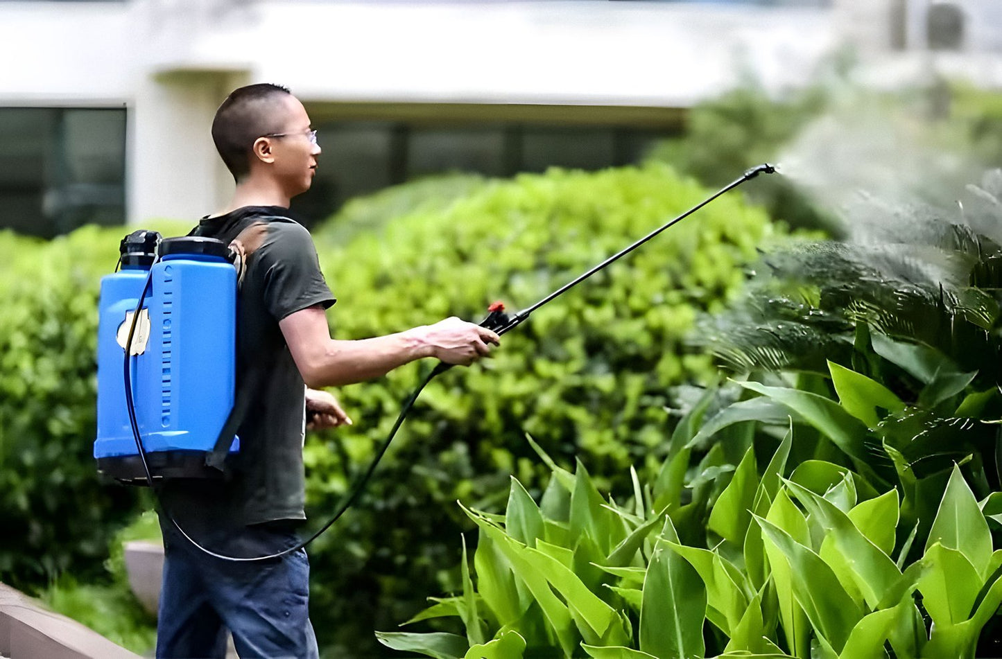 Backpack pressure sprayer 16L, garden, handheld, 2-4 bar, long lance, 4 nozzles, straps, MultiGarden