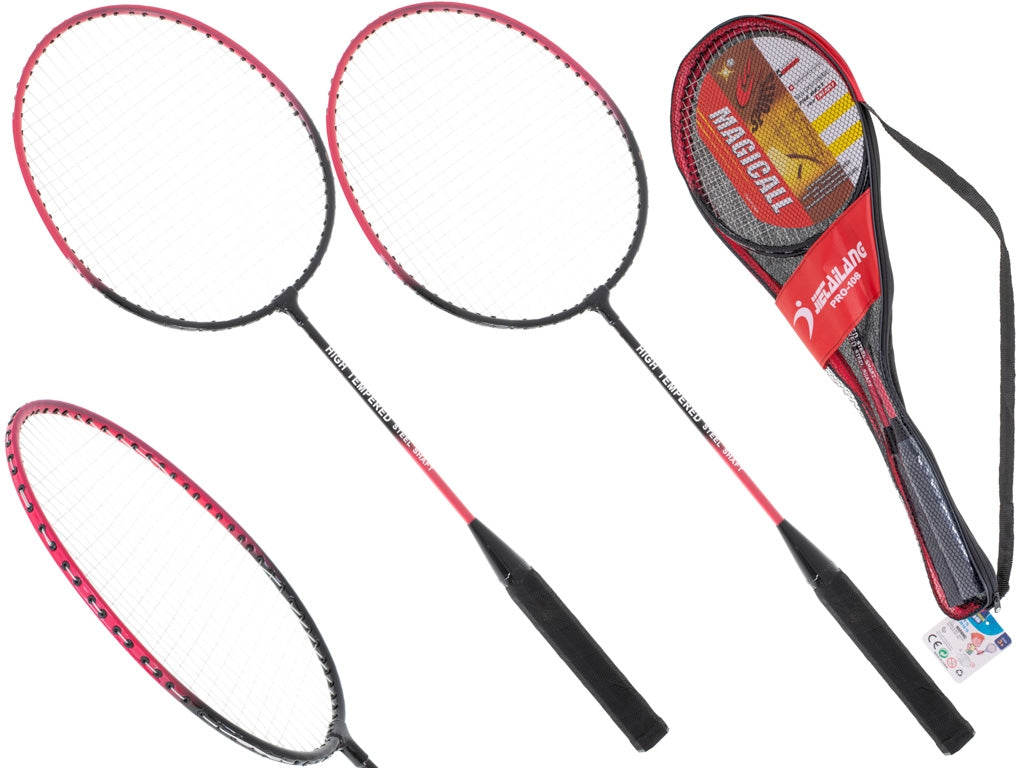 Badminton rackets + case