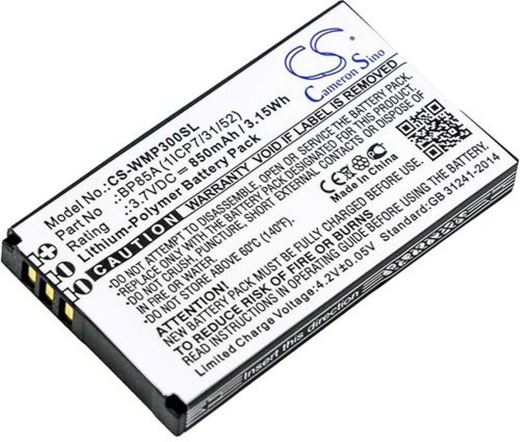 Battery for Wm Systems WMP 300 etc