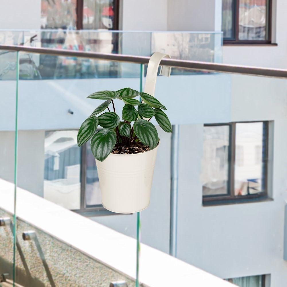 Beige Metal Pot with Handle for Balcony and Terrace