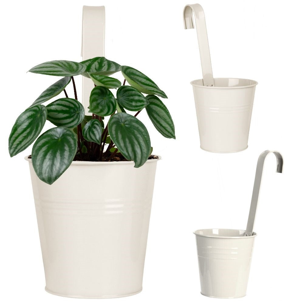 Beige Metal Pot with Handle for Balcony and Terrace