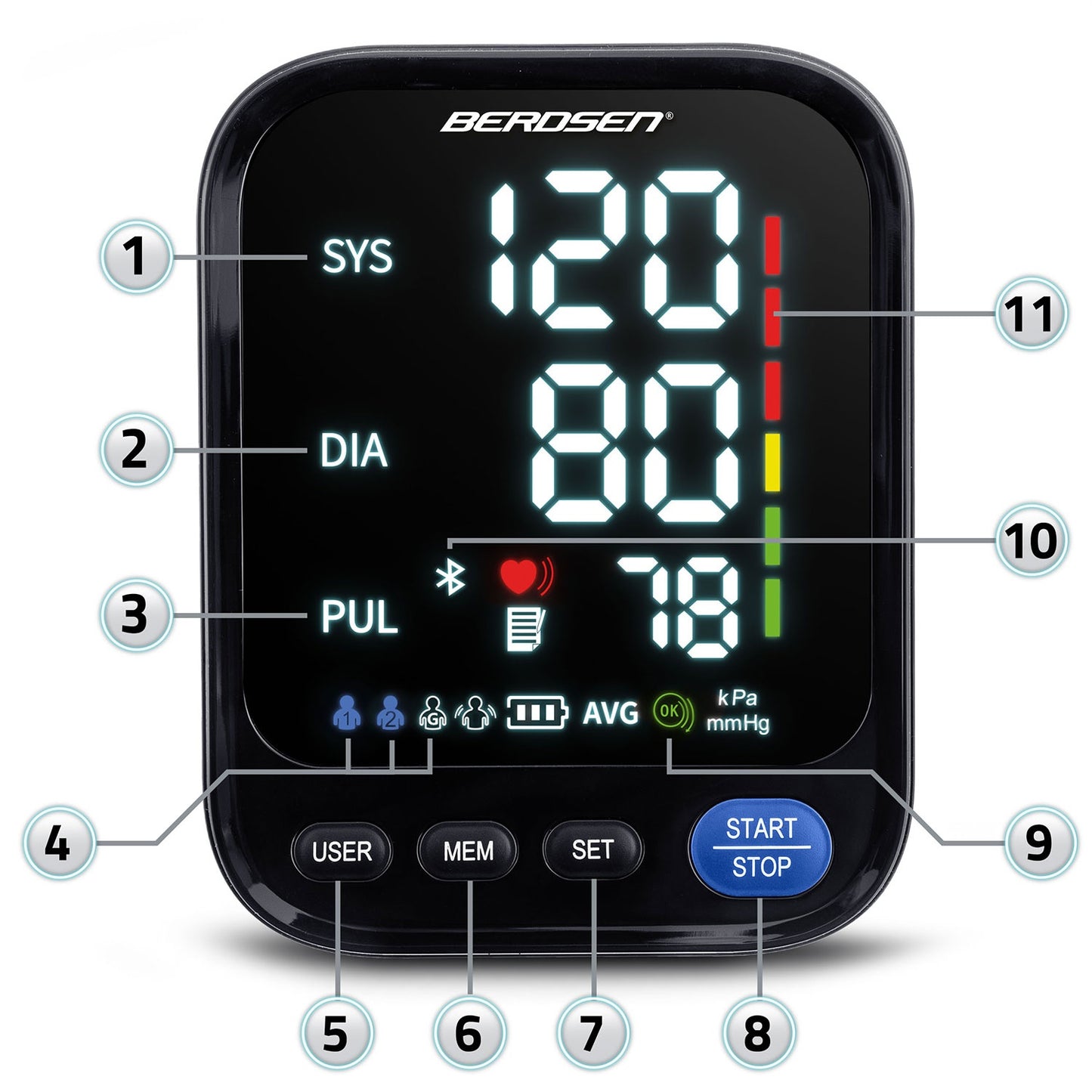 Berdsen BD-123 upper arm blood pressure monitor with Polish messages and Bluetooth