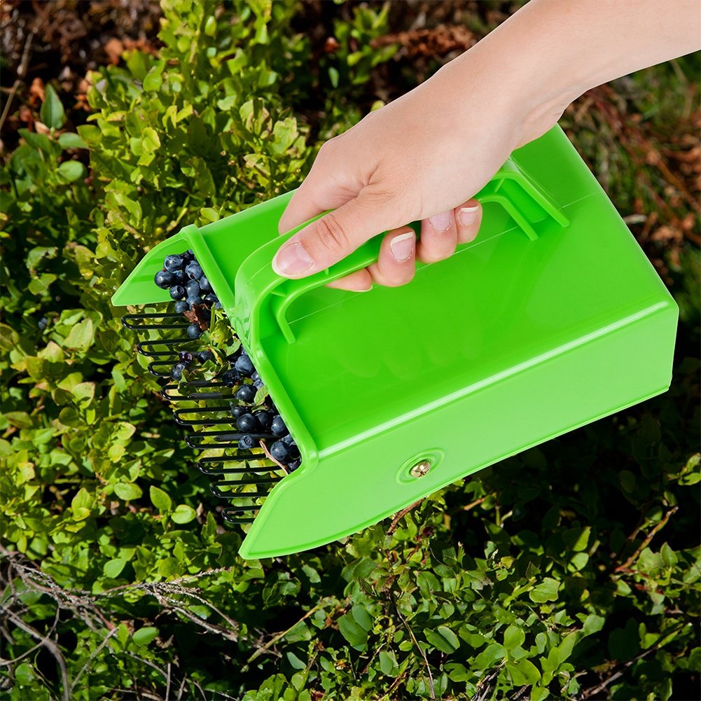 Berry picker for blueberries, currants and aronia - easy to use