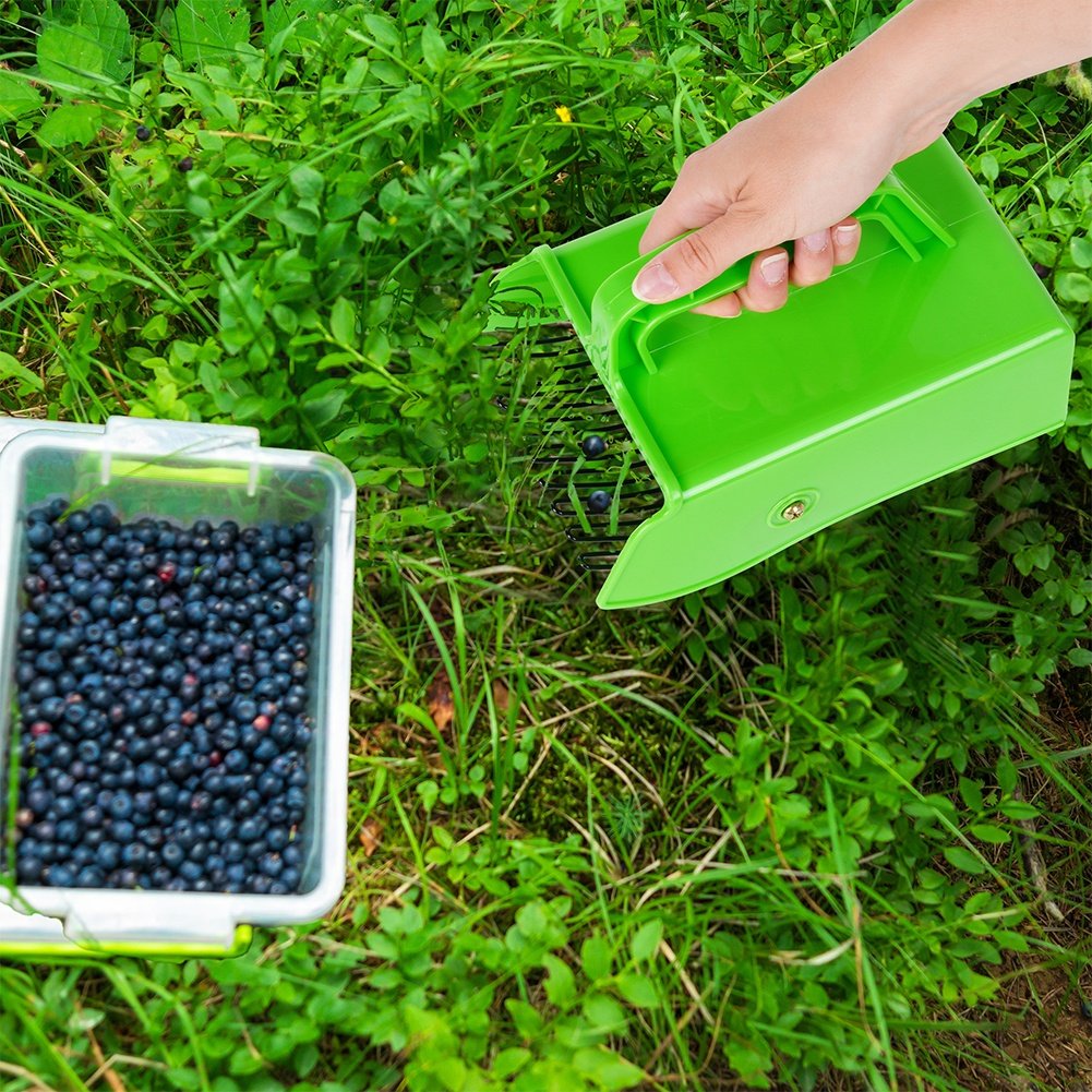 Berry picker for blueberries, currants and aronia - easy to use